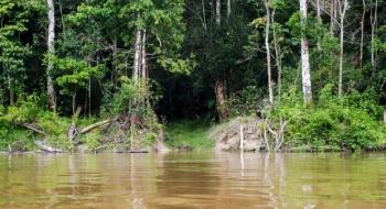 Capes deve liberar R$ 7 milhões para pesquisas na Amazônia Legal
